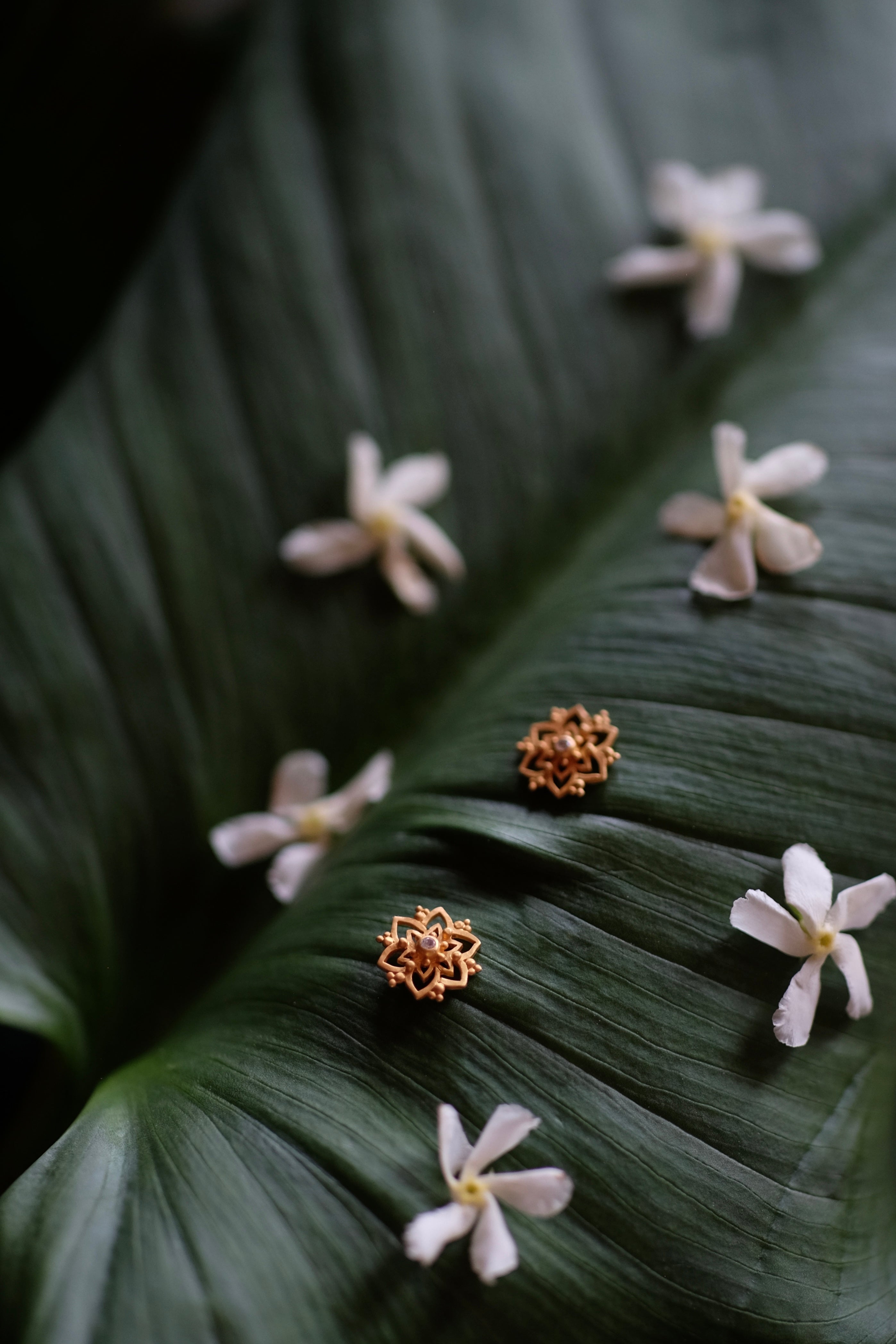 Liliac Earrings