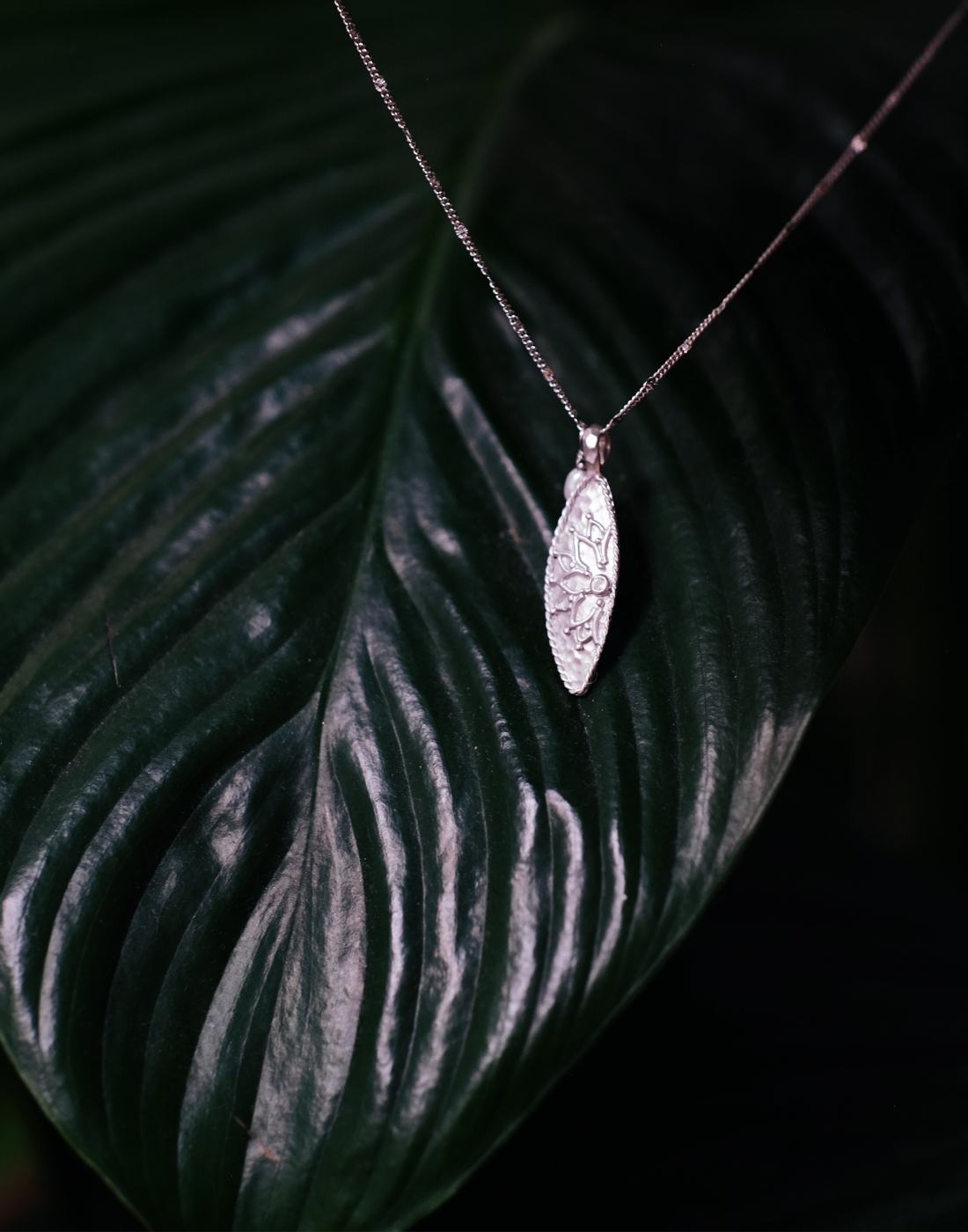 • Liyer-argento •