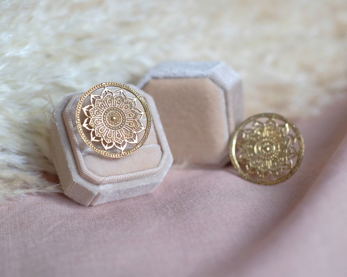 • Tejas •