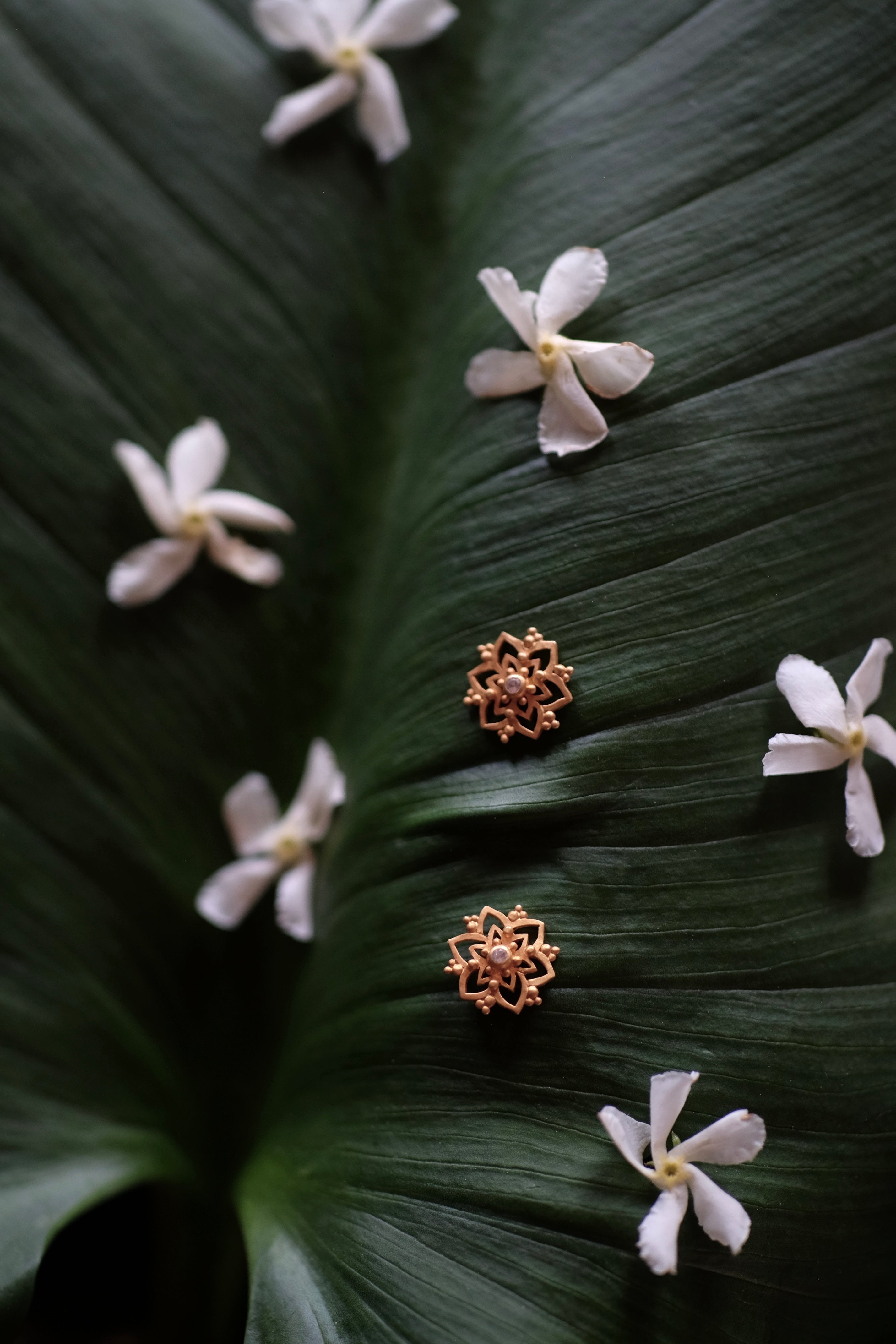 Liliac Earrings