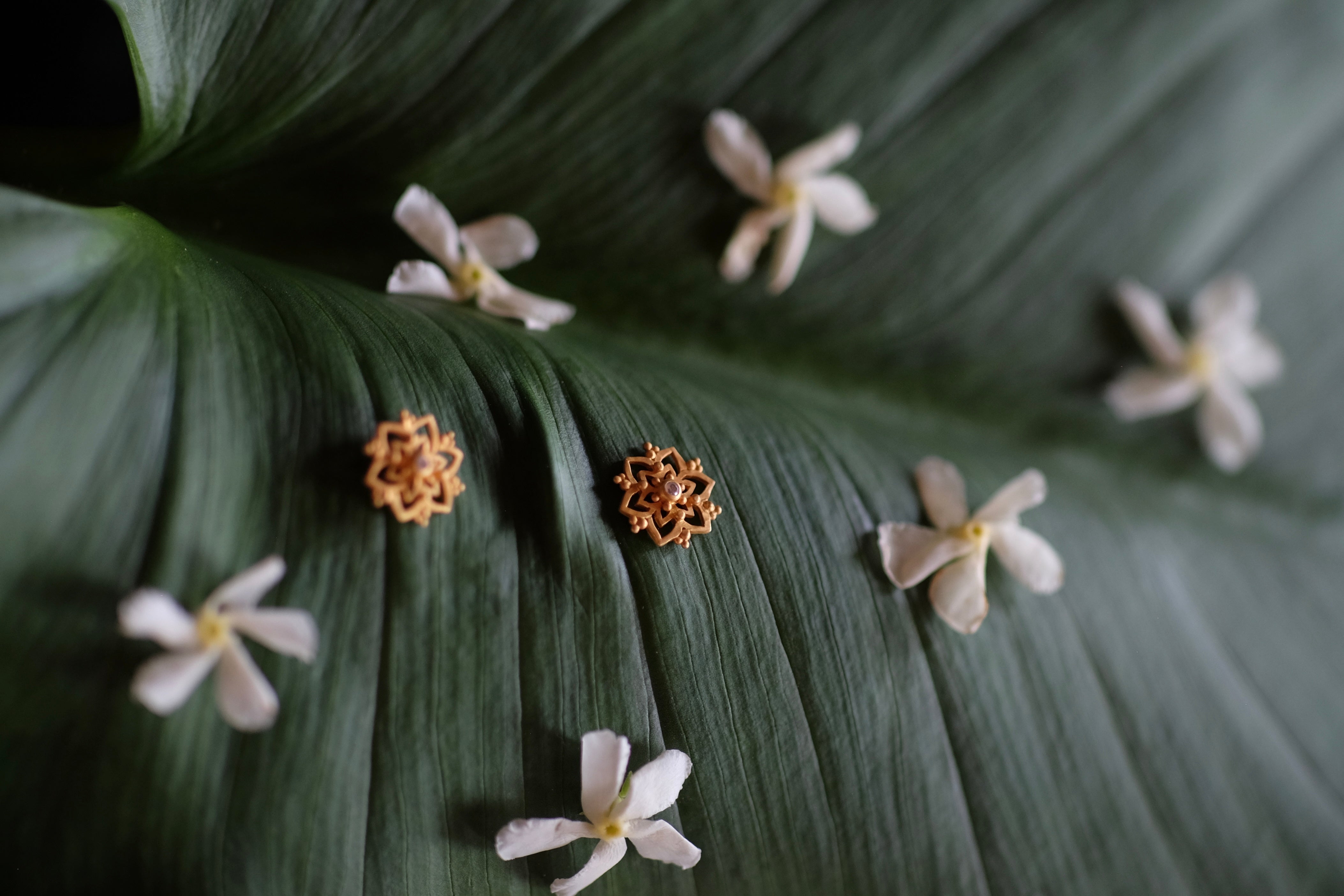Liliac Earrings