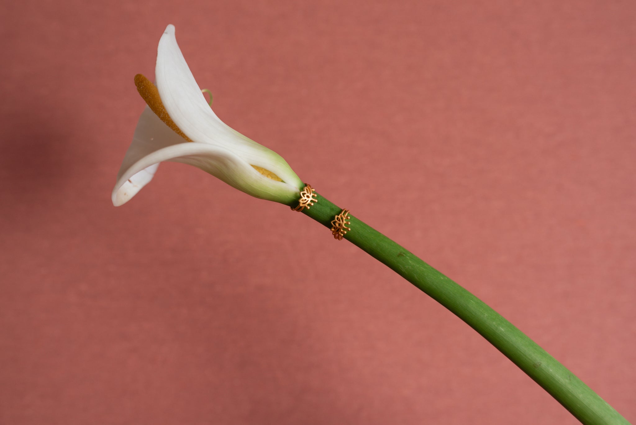 Primrose Ear Cuff